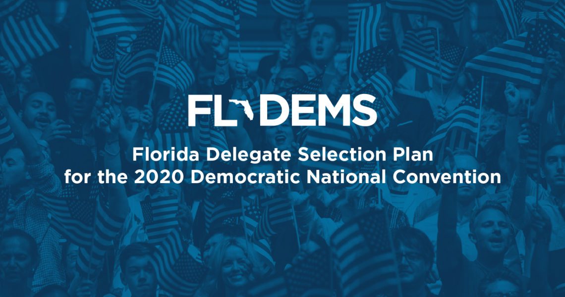 DNC Delegate Selection Process Approved