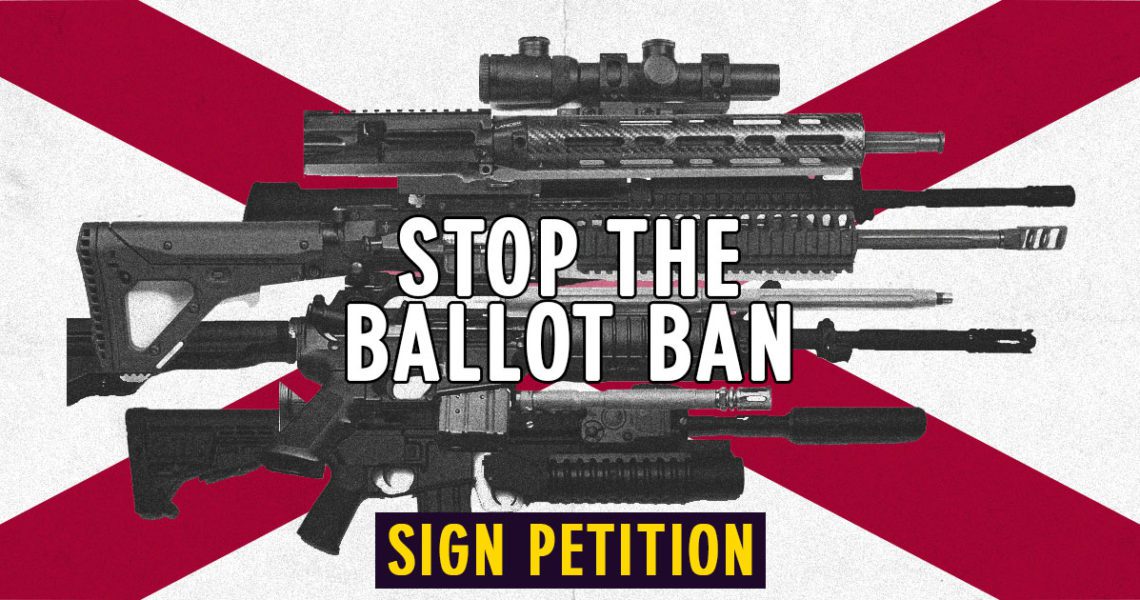Let Floridians Vote on an Assault Weapon Ban on the Ballot in 2020